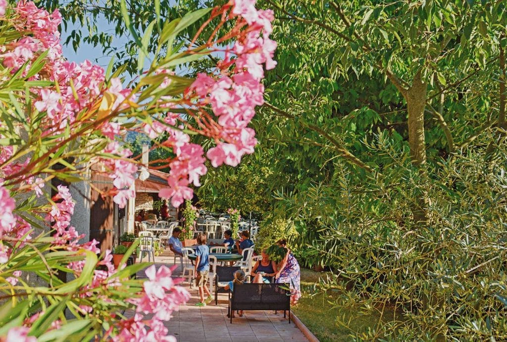 Terrasse du restaurant du camping Les Restanques dans le Verdon